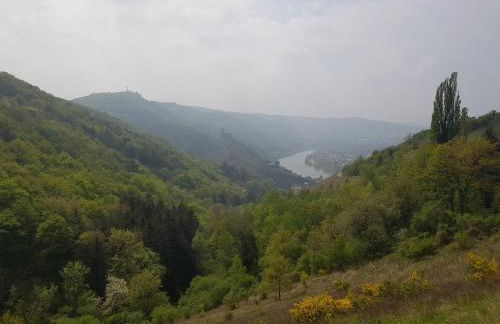 Apartment an der Mosel 1 - Foto 31