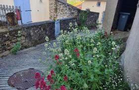 Le Bocage gîte 90m2 chaleureux à 4 min du Puy du Fou - Foto 42