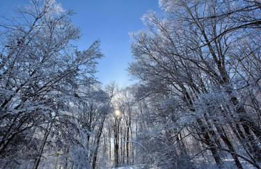 Perfect Vermont Battenkill Log Cabin - Photo 23