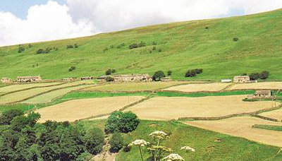 Dyke Heads Stable - Foto 4