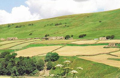 Dyke Heads Stable - Foto 4