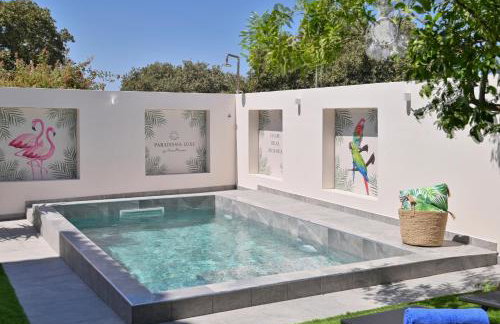 Paradissia Luxe Villa with Private Swimming Pool - Foto 3