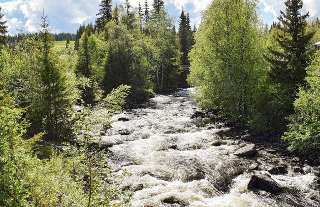 7 Person Holiday Home in Nesbyen - Foto 18