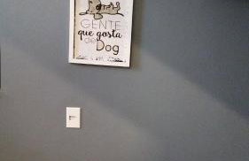 Chácara Recanto Vista Verde - 20 minutos do Plano Piloto - Foto 36