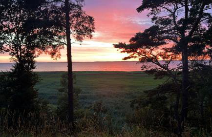 Domki na Skarpie - Wypoczynek z widokiem na Zalew - Frombork - Foto 7
