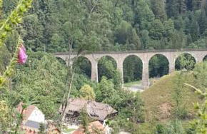 Ferienwohnung Schwarzwaldglück - Foto 34