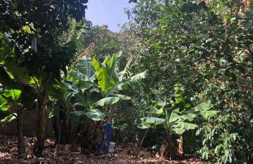 Casa Camino Tamadaba II (bottom home) - Foto 54