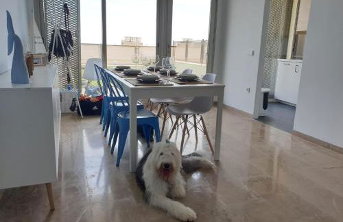 Piscina, Barbacoa Jardín privado, 160 m, vistas al mar y montaña, 7 personas, familiar, wifi, mascotas - Foto 9