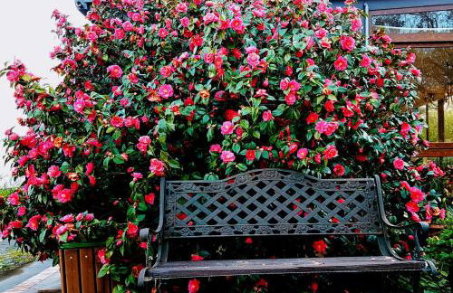 Agriturismo Dolcetna - Foto 52