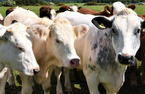 3 Bed in Perth oc-86058 - Foto 20