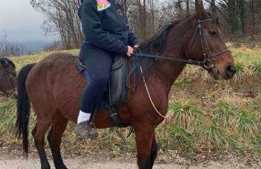 Kuća za odmor Prinčeva oaza - Foto 30