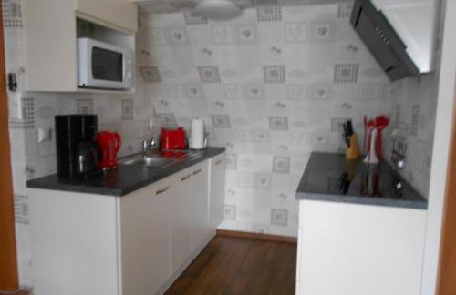 Ferienapartment-Monteurwohnung-Muldestausee - Foto 26