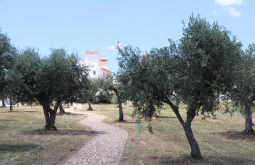 Casa da Pedra-Quinta do Briando - Foto 15