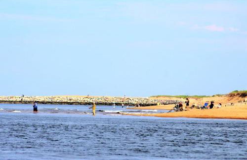 Camp46 Luxury Oceanfront Plum Island Cottage - Foto 53