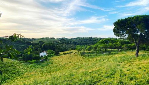 La Escribana - Photo 2