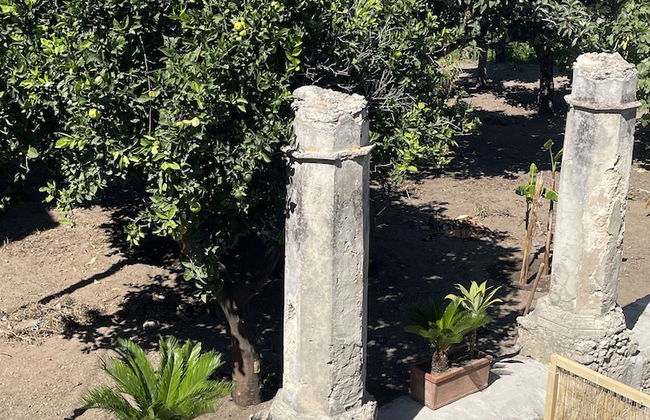 Tenuta La Torre - Foto 22