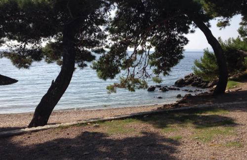 Villa Matovica - Photo 24