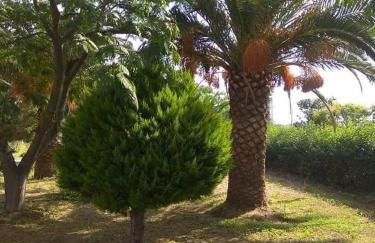 Anna Daniil Oasis Studios Skala Kallonis - Foto 41