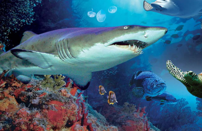 Ingresso do Aquaria KLCC - Foto 2