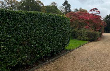 The Old Dairy Steep,Petersfield in Collyers Estate in the South Downs National park - Foto 21