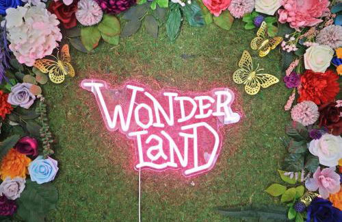 Down the Rabbit Hole walk to downtown - Foto 9