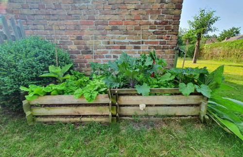 Pommernhaus Charmantes Colonistenhaus, Kamin, Ruderboot - Foto 7