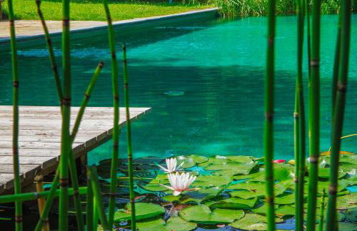 Bioagriturismo il cerreto - Foto 48