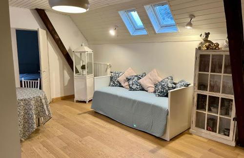 Dans Maison privée Appartement de charme, 70m2 avec pergola Et jardin à 15min centre de Strasbourg Chez Regine - Foto 42