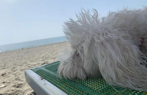 Casa del sole - Foto 77