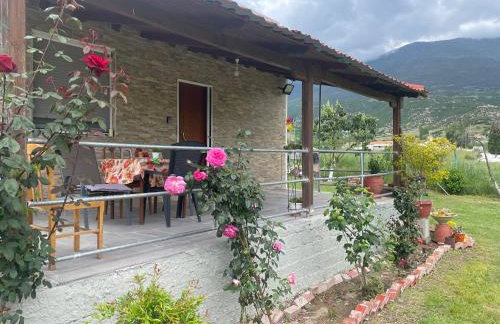 Villa Olympus - Photo 15