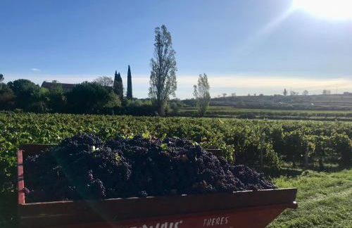 Le Mas Vivarés - Foto 46