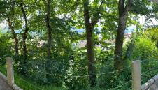 Apartment Bärenfelsblick - Foto 2, Garden