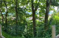 Apartment Bärenfelsblick - Foto 2