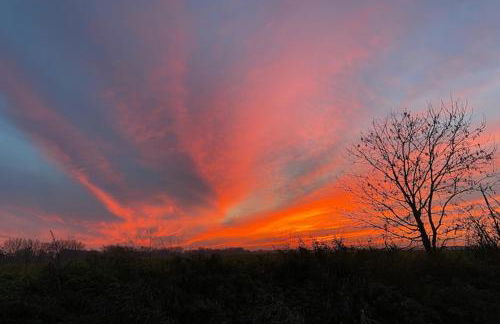 Ferienwohnung an der Elde - Foto 41
