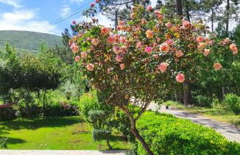 Casa Dos Vales 11 - Foto 40