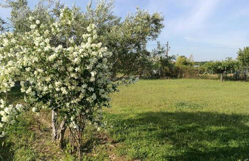 Casa de Campo Talavera - Foto 11