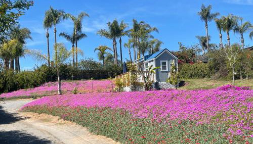 Tiny House on private large property - Photo 2