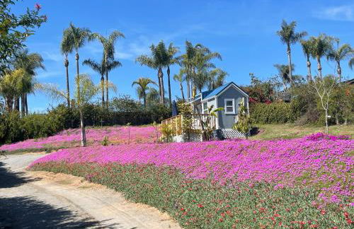 Tiny House on private large property - Foto 2