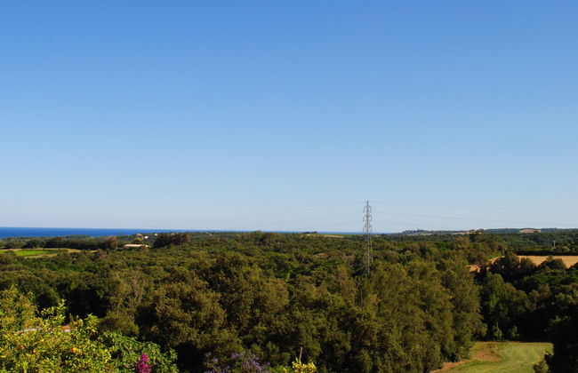 Maison Gerard - Photo 27