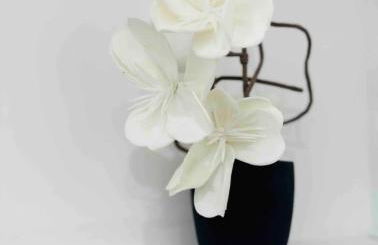 Apartment Duisburg Hbf Zentrum Business Messe Düsseldorf - Photo 64