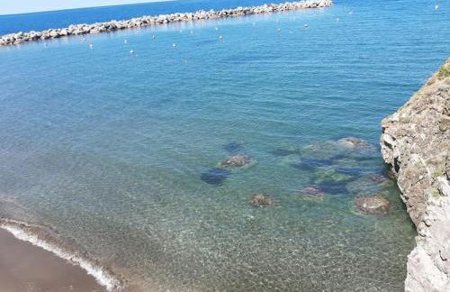 azienda agricola zulin casa elena - Foto 3