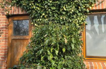 Ferienwohnung NH5 - Foto 10