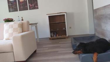 FeWo Herzenstölen - Foto 4, pet friendly