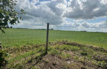 Haus Tunix Hunde sind herzlich willkommen - Photo 64