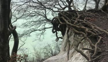 Hering FeWo II Apartment Balcony - Foto 4