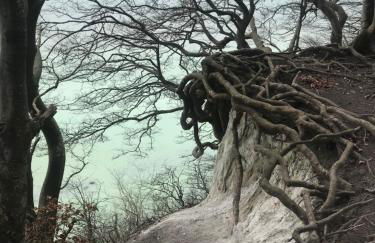 Hering FeWo II Apartment Balcony - Foto 4