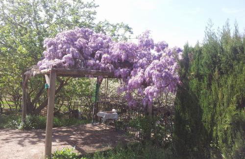 El Molino de las Palomas - Foto 61