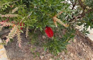 D & A Land luxury house - Photo 9