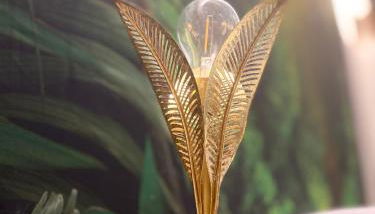 Jungle - house of wellness - Foto 5