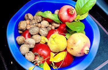 Mazzetti Country House-Vita in campagna con giardino - Foto 12